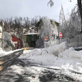 Maltempo, riaperta la provinciale del Cadibona