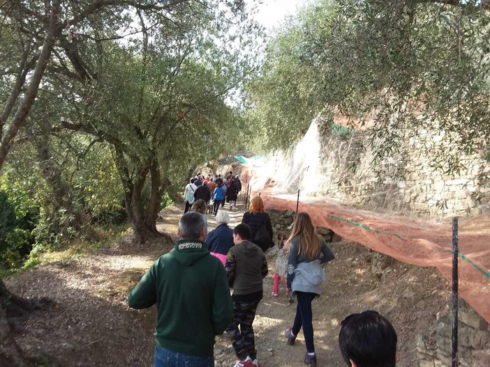 Andora, torna la Camminata fra gli Olivi