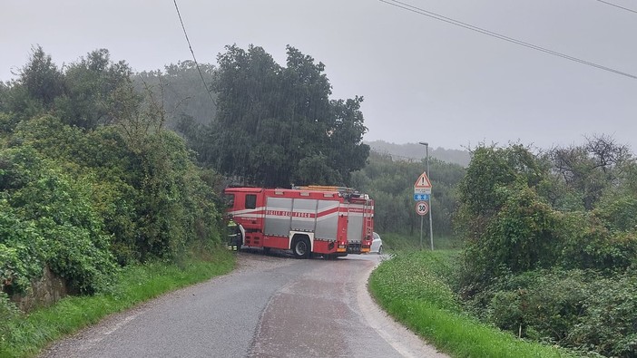 Vigili del fuoco in via Madonna del Monte, Savona, per un albero caduto sui cavi del telefono Vigili del fuoco in via Madonna del Monte, Savona, per un albero caduto sui cavi del telefono