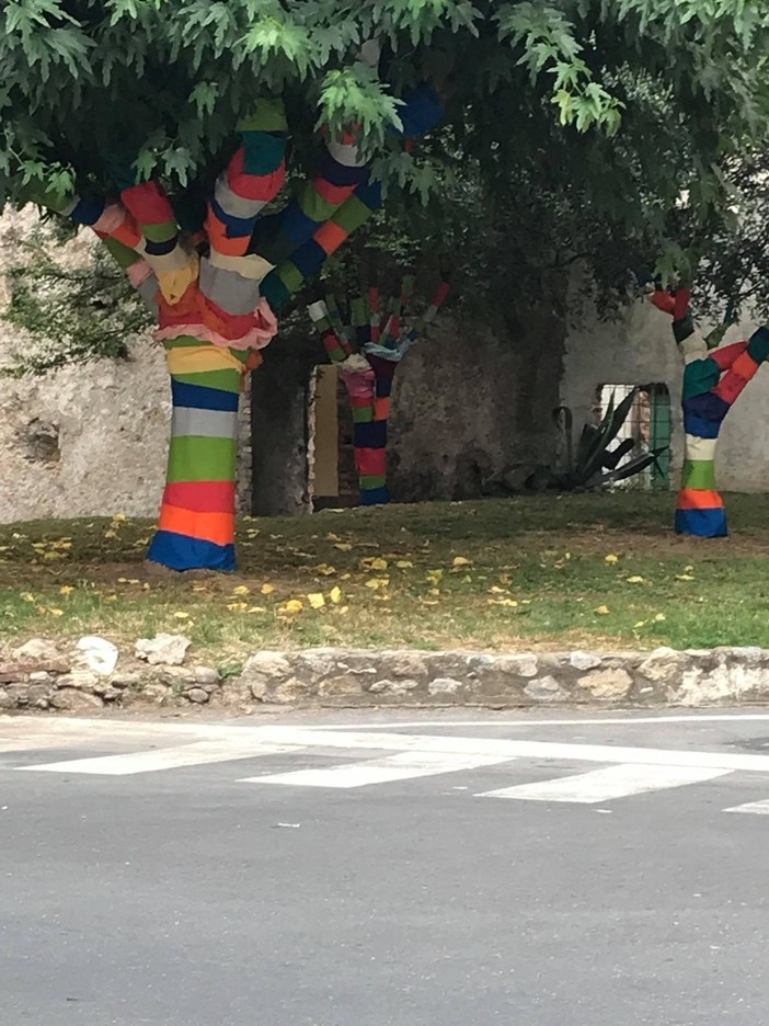 Borghetto: alberi vestiti di colore all'incrocio di piazza Indipendenza