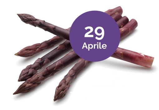 "Albenga in tavola", il 29 aprile lo Show Cooking dedicato all'asparago violetto "Albenga in tavola", il 29 aprile lo Show Cooking dedicato all'asparago violetto
