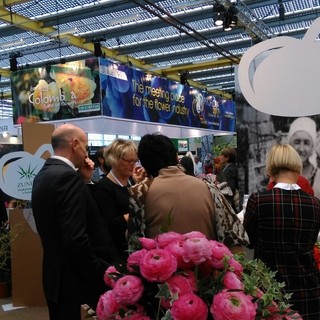 L'unione fa la forza a IFTF: ottimi risultati per la floricoltura ligure in Olanda