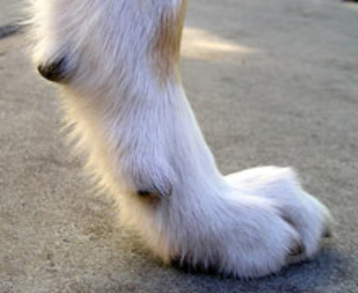 “UP&amp;DOWN &amp; SCIÛ E ZÛ”  a Pietra Ligure