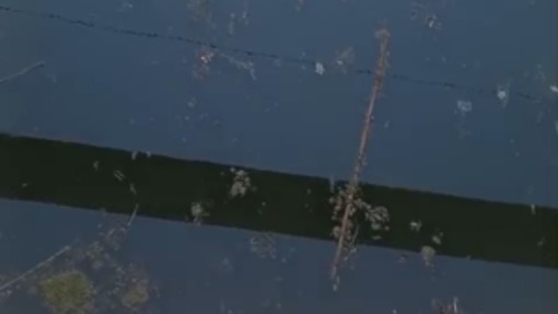 Albenga, acqua verde e cattivi odori nel Rio Antognano, l'allarme di Diego Distilo: “Serve un intervento urgente” Albenga, acqua verde e cattivi odori nel Rio Antognano, l'allarme di Diego Distilo: “Serve un intervento urgente”