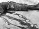 Molinari, l'uomo che corre... (la storia) Molinari, l'uomo che corre... (la storia)