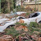 Alassio, forti raffiche di vento: un albero si abbatte su un’auto parcheggiata