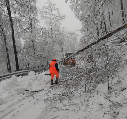 Colle del Melogno Colle del Melogno