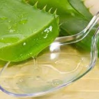Sportello dei diritti: "State attenti alla truffa dei gel di aloe vera"