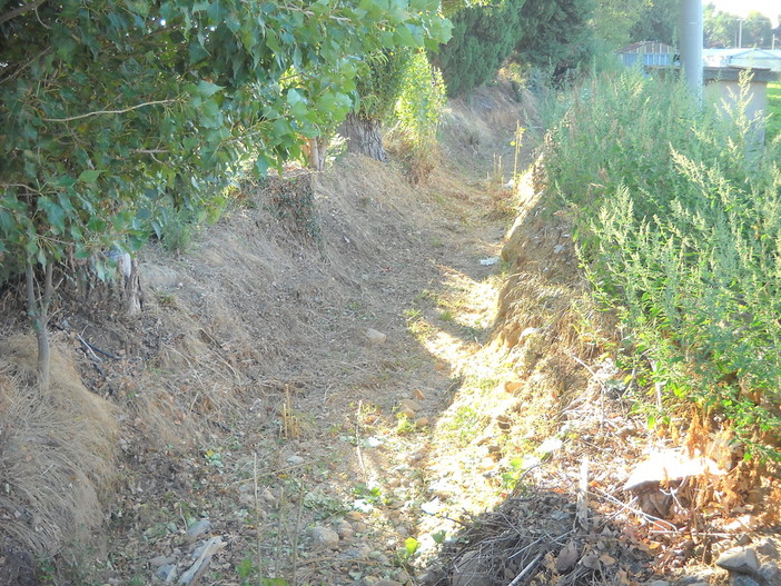 Albenga: pulizia di canali e fossati, il sindaco Cangiano emette un'ordinanza Albenga: pulizia di canali e fossati, il sindaco Cangiano emette un'ordinanza