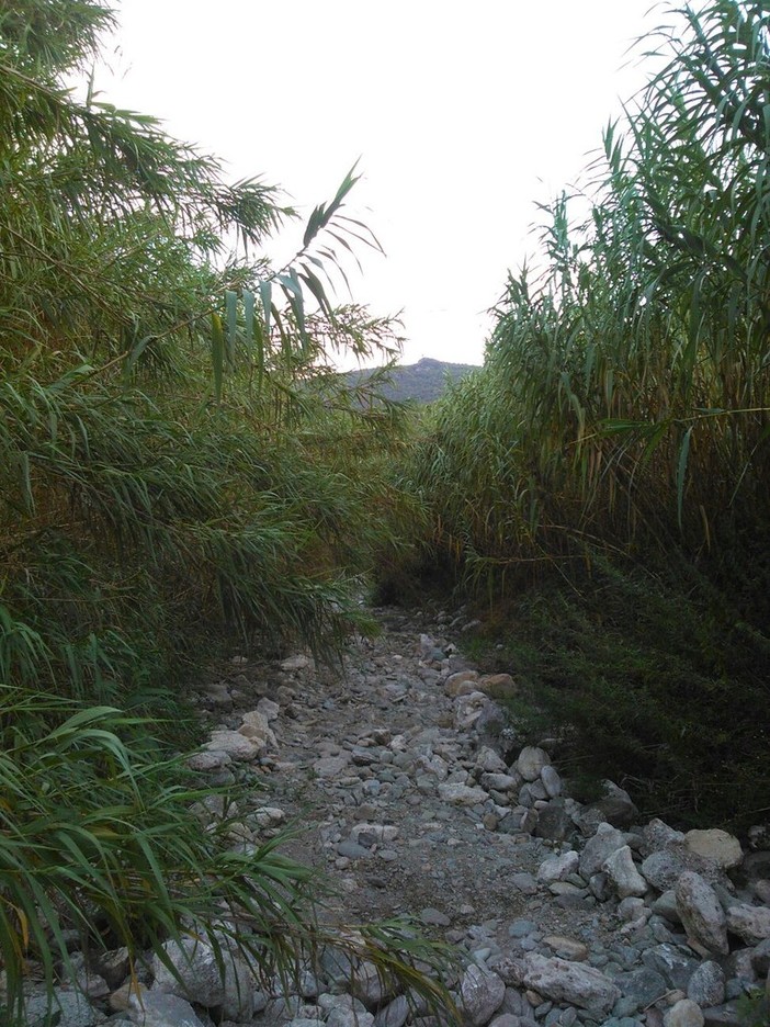 Confagricoltura Liguria: dopo la siccità il rischio di forti precipitazioni in autunno "E la pulizia degli alvei?"