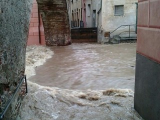 Rio Basco ad Albisola Superiore (courtesy foto Daniela Bolla); Rio Basco ad Albisola Superiore (courtesy foto Daniela Bolla);