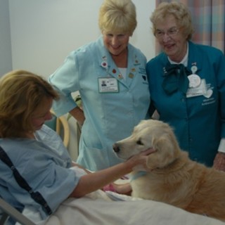 Enpa: animali in ospedale, con le necessarie precauzioni