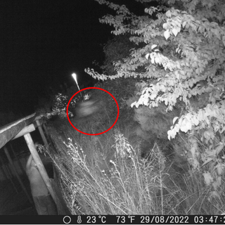 Una delle fotografie che ritrae il responsabile dell’abbandono, mentre lancia un sacco di spazzatura nel terreno oggetto di esposto