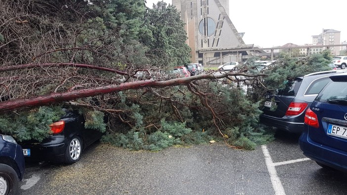 Superlavoro per i vigili del fuoco: oltre una 40ina di interventi tra Savona e Varazze Superlavoro per i vigili del fuoco: oltre una 40ina di interventi tra Savona e Varazze