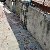 Accoltellamento a Villapiana, l'aggressore individuato dalla polizia Accoltellamento a Villapiana, l'aggressore individuato dalla polizia