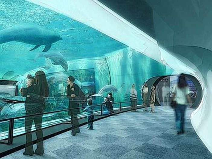 Acquario di Genova, pronto per primavera il nuovo gigantesco Padiglione Cetacei Acquario di Genova, pronto per primavera il nuovo gigantesco Padiglione Cetacei