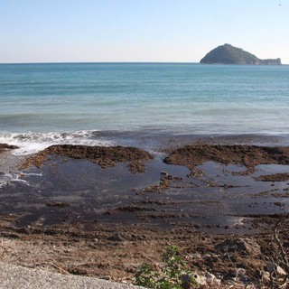 Bagni Marini-Comune di Alassio: chiarimenti in corso