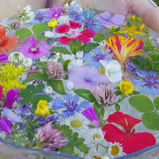 In foto acqua di san Giovanni preparata con erbe e fiori In foto acqua di san Giovanni preparata con erbe e fiori