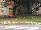 Borghetto: alberi vestiti di colore all'incrocio di piazza Indipendenza