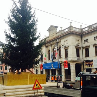 "Savona si illumina": domenica 27 novembre la cerimonia di accensione dell'albero di Natale