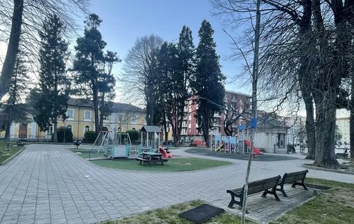 Cairo mette in sicurezza i giardini di via Monsignor Bertolotti: tiranti di consolidamento per le alberature ad alto fusto