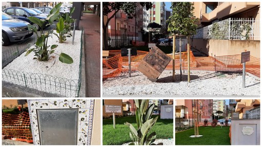 Albissola, completata la riqualificazione delle aiuole di viale Faraggiana: le ceramiche diventano arredo urbano