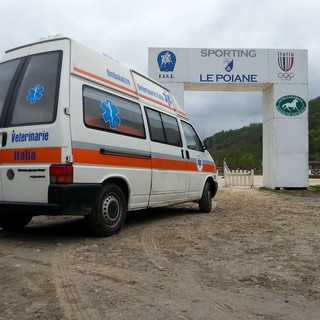 Ambulanza veterinaria, da Carcare il progetto si allarga ad Asti