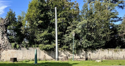 Albisola, il taglio dei tigli in Largo Gavotti continua a far discutere: "Dopo mesi non è stato fatto nulla"