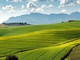 Agricoltura, Regione Liguria apre una nuova finestra fino al 23 settembre per due bandi da oltre 24,4 milioni Agricoltura, Regione Liguria apre una nuova finestra fino al 23 settembre per due bandi da oltre 24,4 milioni