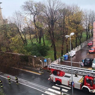 Foto dal gruppo Facebook "Savona è"