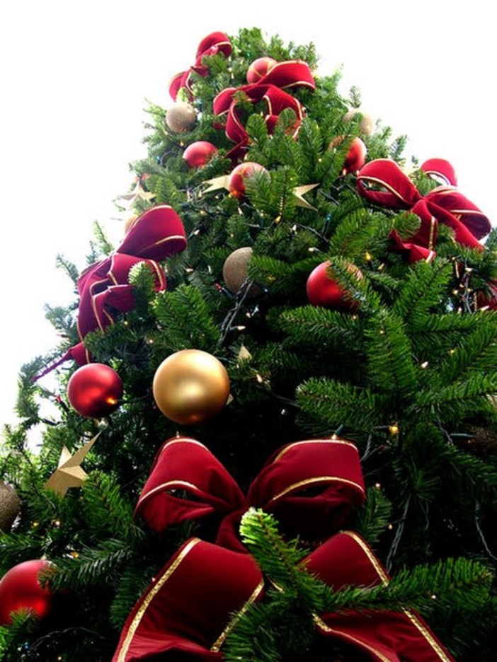 Andora : chiuso il piazzale di via Clavesana per posizionare l'albero di Natale