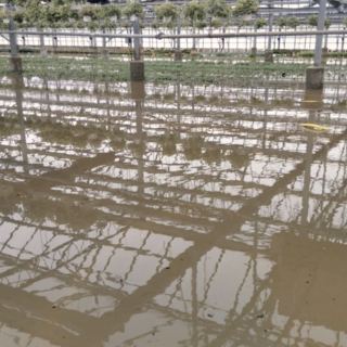 Ristori alle aziende agricole alluvionate della Piana d'Albenga, Coldiretti: "Bene i fondi, ma ora tempi certi e nuovi interventi"