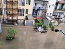 Temporali estivi, caduti 218 mm nel savonese, 13 i giorni di pioggia