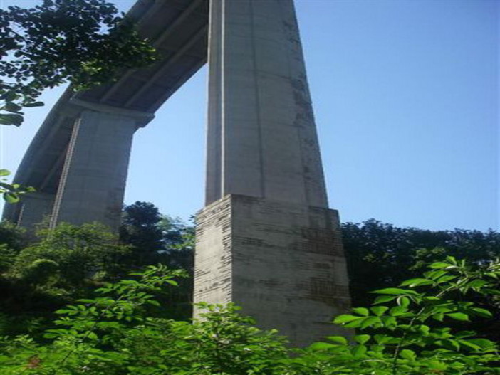 Ferma l'auto sul viadotto della A6 e si lancia nel vuoto