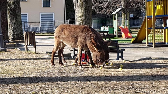 Foto pagina Facebook "Le Rive della Bormida (immagini di Cairo e dintorni)"