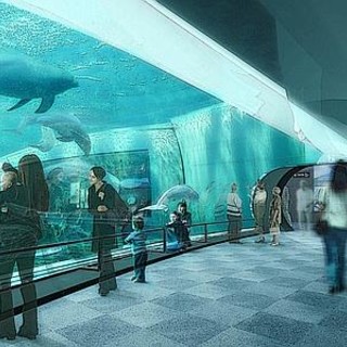 Acquario di Genova, pronto per primavera il nuovo gigantesco Padiglione Cetacei