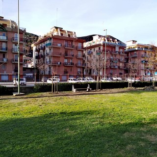 Borghetto punta sul verde: piantati 40 alberi (FOTO)
