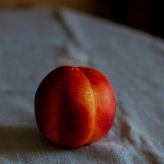 La "Pesca miracolosa" del fotografo Avilo a Marmoreo