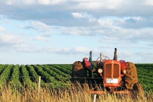 80 agricoltori ai corsi di formazione: è tempo di consegna degli attestati