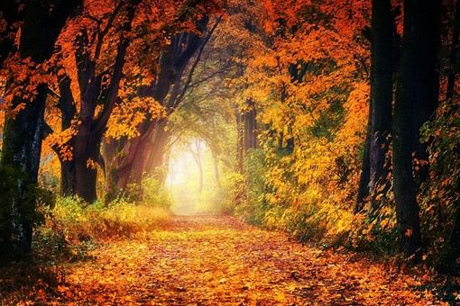 Meteo: inizia l'autunno, piogge da metà settimana Meteo: inizia l'autunno, piogge da metà settimana