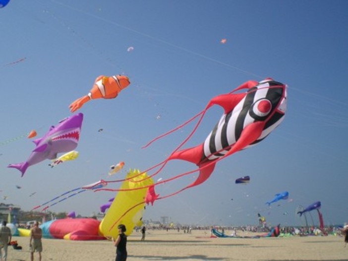 Alassio: sulla spiaggia volo di aquiloni e prodotti BioNike Alassio: sulla spiaggia volo di aquiloni e prodotti BioNike