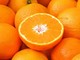 Le arance della salute di Airc tornano nelle piazze per sostenere la ricerca sul cancro e ricordare le abitudini di vita salutari