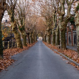 Altare celebra Aldo Capasso: mattonelle per ricordare il maestro del Realismo Lirico Altare celebra Aldo Capasso: mattonelle per ricordare il maestro del Realismo Lirico