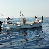 Fermo pesca, Coldiretti Liguria: &quot;Serve subito un tavolo tecnico per il futuro del comparto&quot;