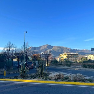 Borghetto S. Spirito, sotto la lente il patrimonio arboreo cittadino: controlli per accertarne lo stato di salute