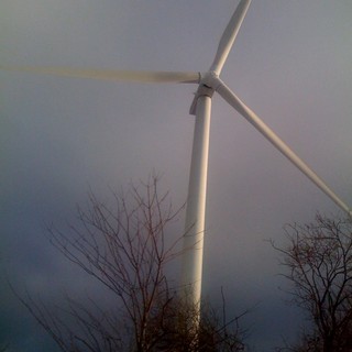 Naso di gatto, Wwf: ecco perche' la Valutazione di Impatto Ambientale del "parco eolico" Fera dovra' essere negativa