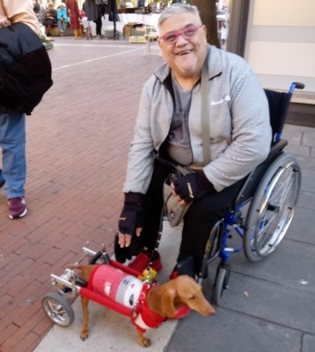 Giornata mondiale disabilità, l'appello di Max Biovi: "Ad Albenga serve che l'ufficio ausilio disabili sia al pianterreno e accessibile a tutti" Giornata mondiale disabilità, l'appello di Max Biovi: "Ad Albenga serve che l'ufficio ausilio disabili sia al pianterreno e accessibile a tutti"