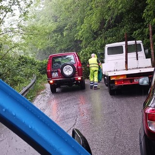 Bomba d’acqua a Stella, cade un albero sulla Sp 542 vicino al Comune, intervengono i Vigili del fuoco