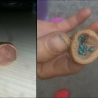 Bocconi avvelenati a Cairo Montenotte. Altri casi segnalati nei giorni scorsi in tutta la Provincia