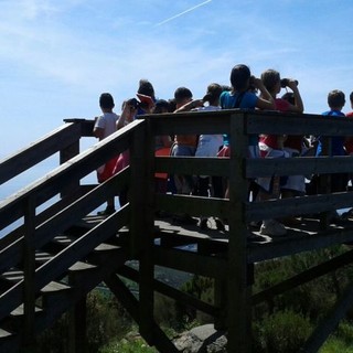 Nel Parco del Beigua pronti con i binocoli per il "Biancone Day"